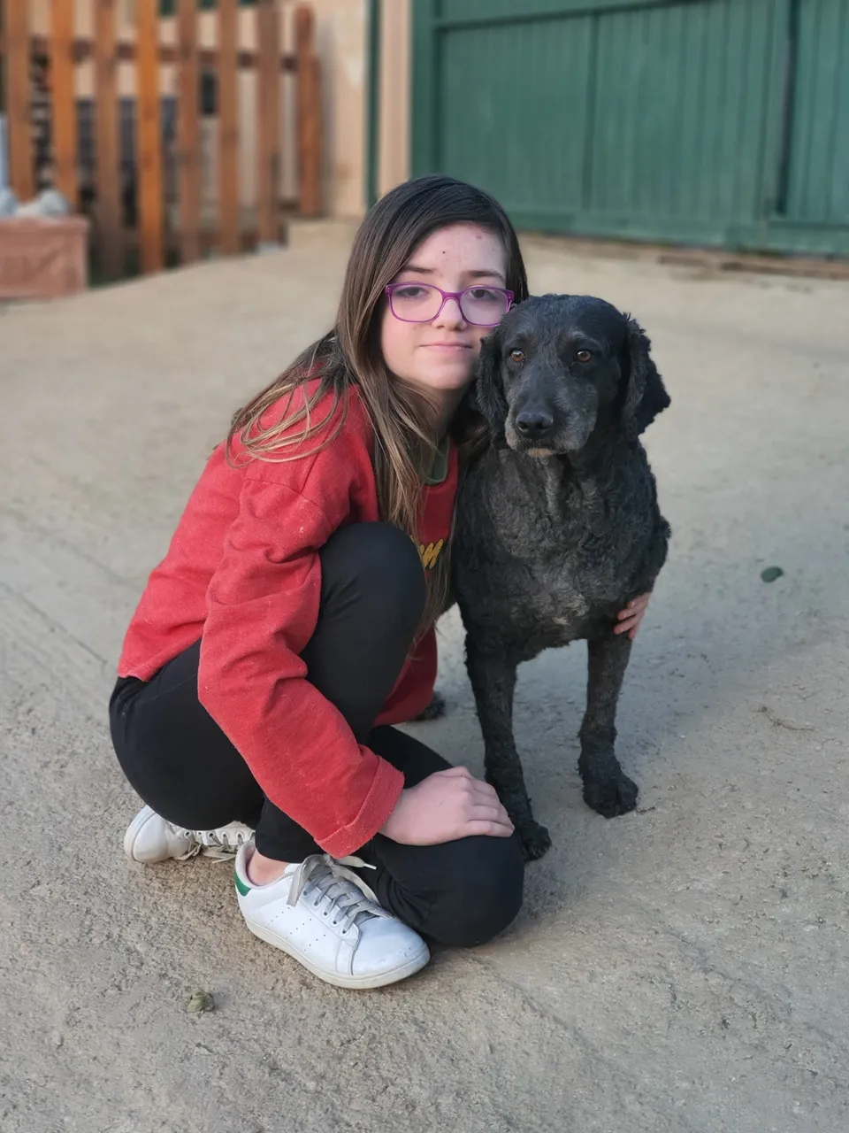 Perro de agua español